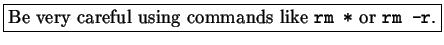 \fbox{Be very careful using commands like
{\tt rm *} or {\tt rm -r}.}