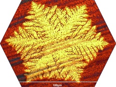 dendritic graphene flake